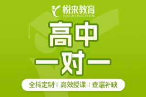 武汉高中1对1辅